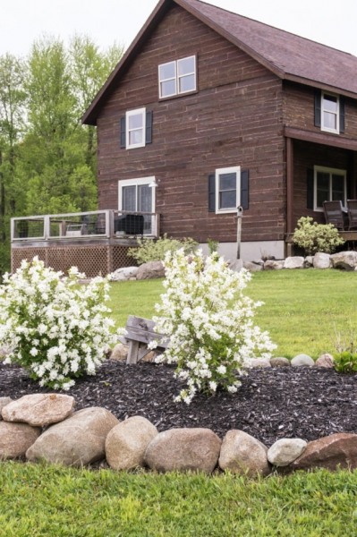 Summer Snowflake Viburnum