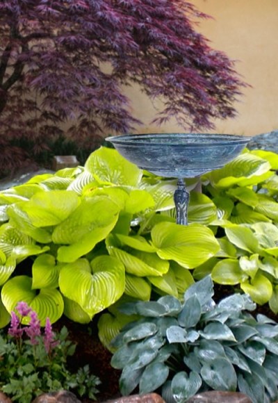 Sum and Substance Hosta Lily