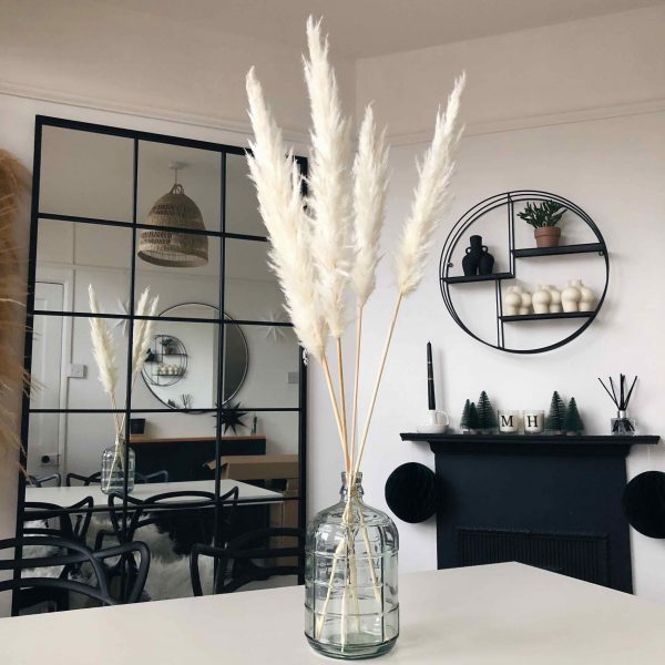 White Pampas Grass