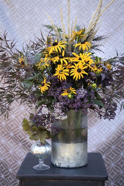 Goldsturm Black Eyed Susan Daisy