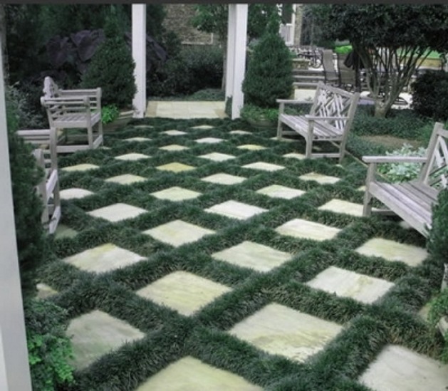 Dwarf Mondo Grass