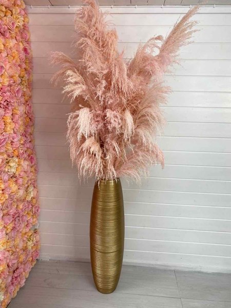 Pink Pampas Grass