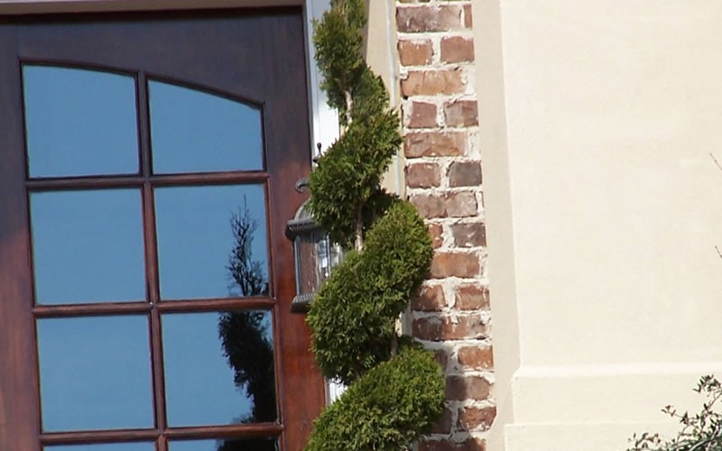Hetzi Columnar Juniper