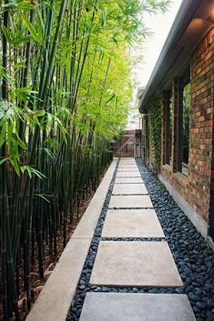 Stone Bamboo