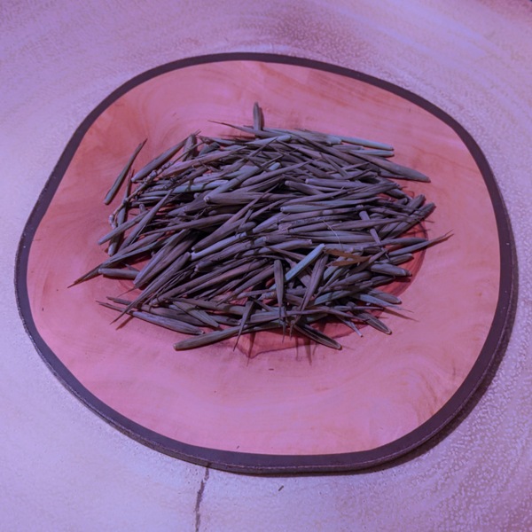 Black Bamboo