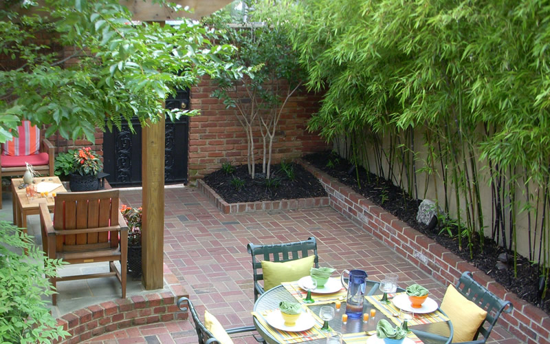 Black Bamboo
