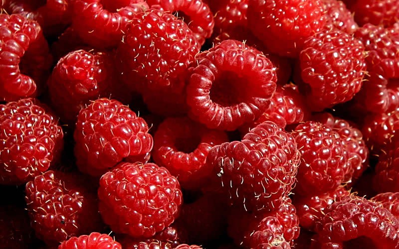 Heritage Raspberry