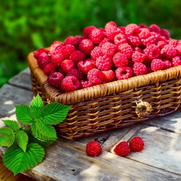 Heritage Raspberry