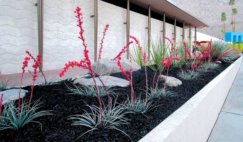 Brakelights® Red Yucca
