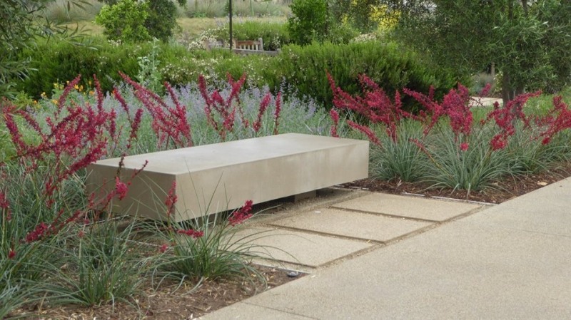 Brakelights® Red Yucca