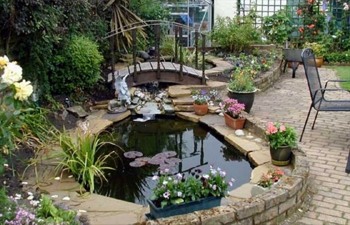 water gardening
