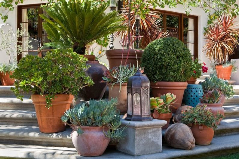 container gardening